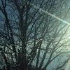 LittleElm neighbor