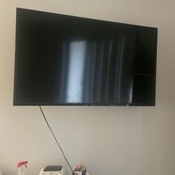 55” TV With Swivel Bracket
