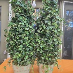 πΏ Pair of Decorative Ivy Topiary Plants β Realistic & Elegant πΏ