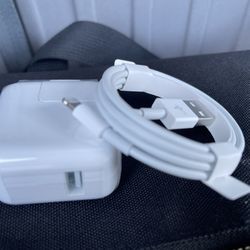12W Genuine OEM Apple iPhone USB Charger & Lightning Cable