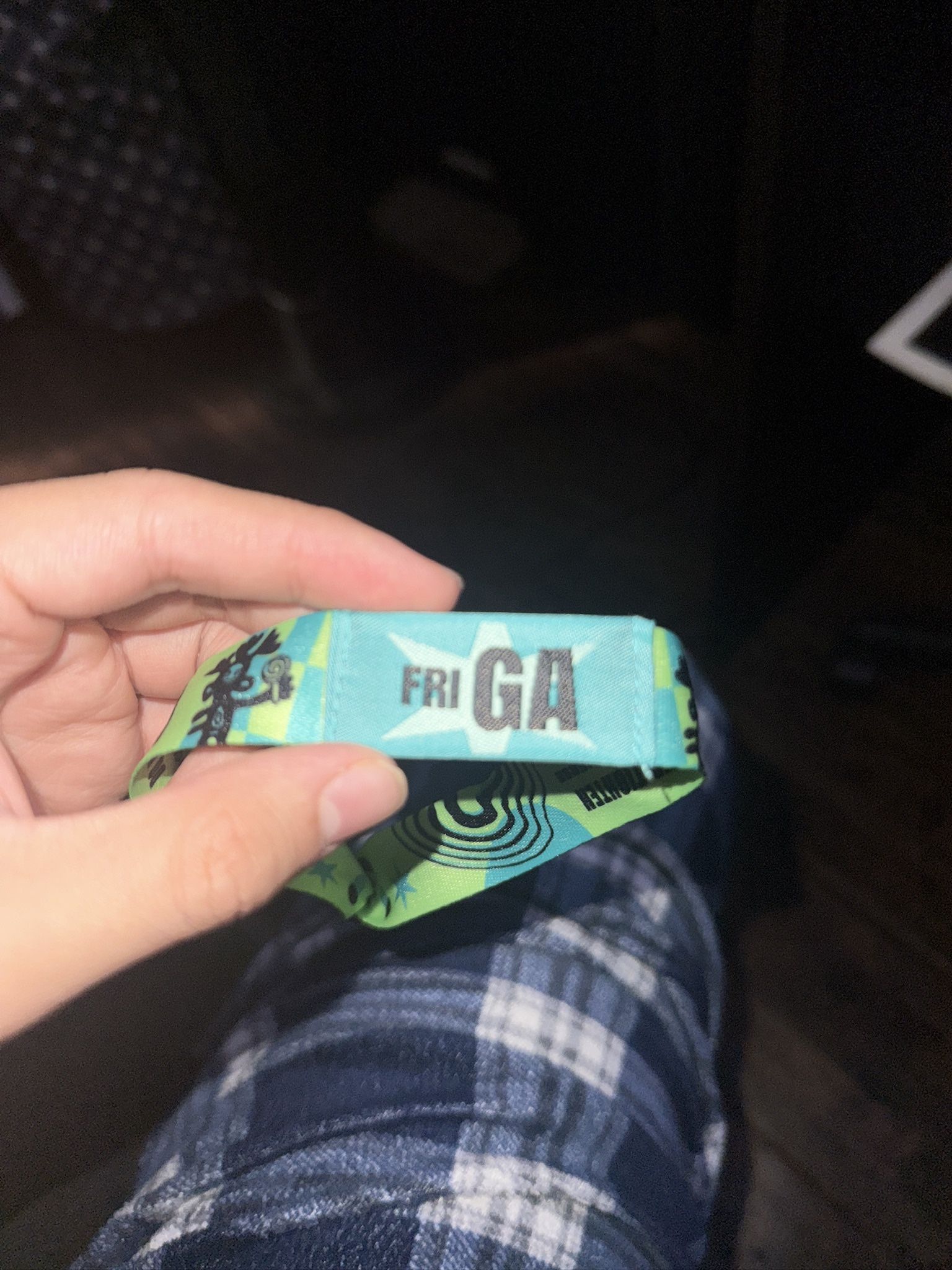Lollapalooza - Friday