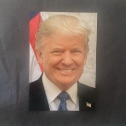 Donald Trump Photo