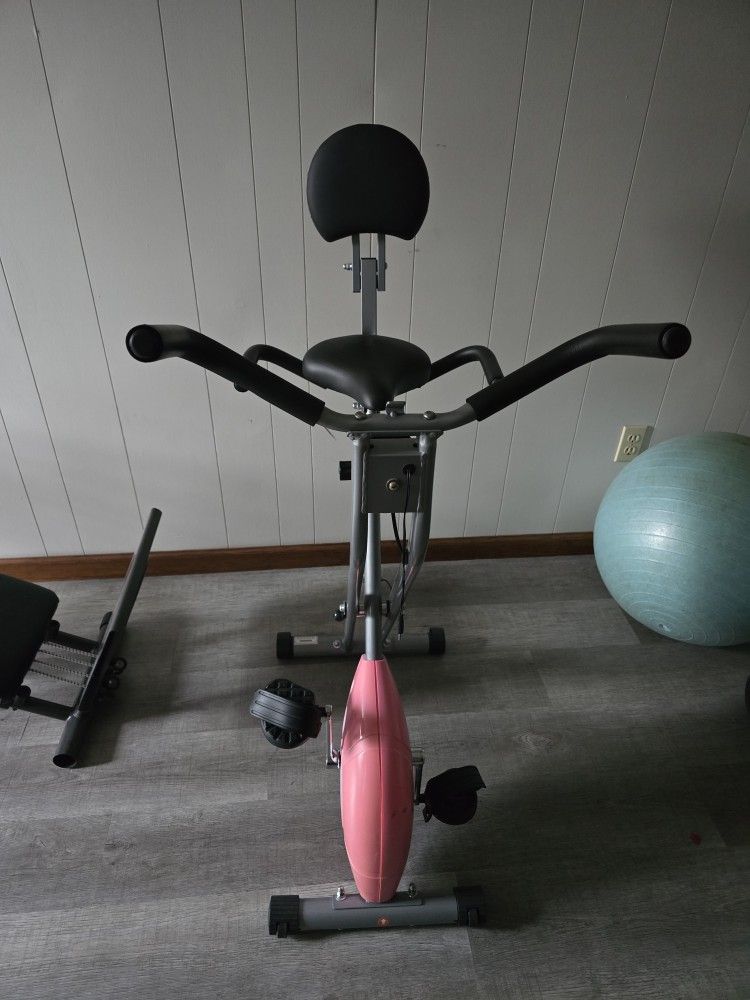 Sunny Exercise Bike