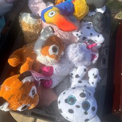 Stuffed Animals 