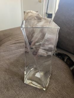 Plant Or Flower Case