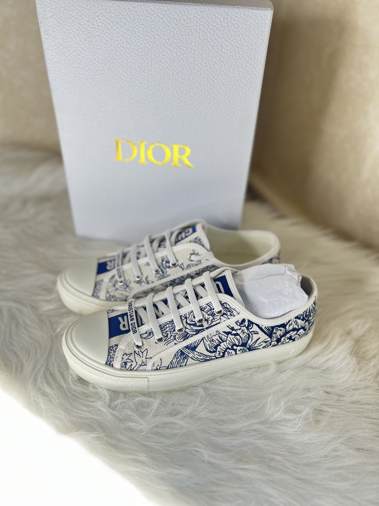 Dior Sneakers