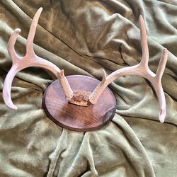 Fathers Day Gift Or Decoration