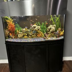 75 Gallon Fish Tank For Sale.. 