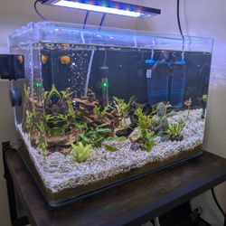 10 Gallon Fish Tank