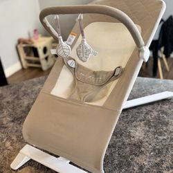 Baby Delight Bouncer