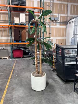 8-foot-tall artificial Pachira Aquatica (Money Tree)