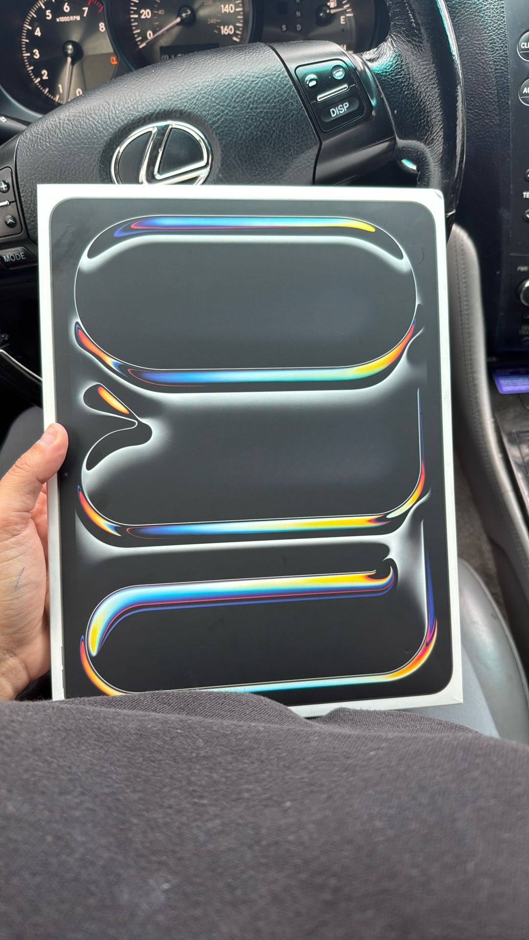 iPad Pro 13 256 GB
