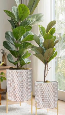 Pots with Stand | Planter with Stand