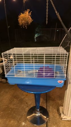 Guinea Pig cage