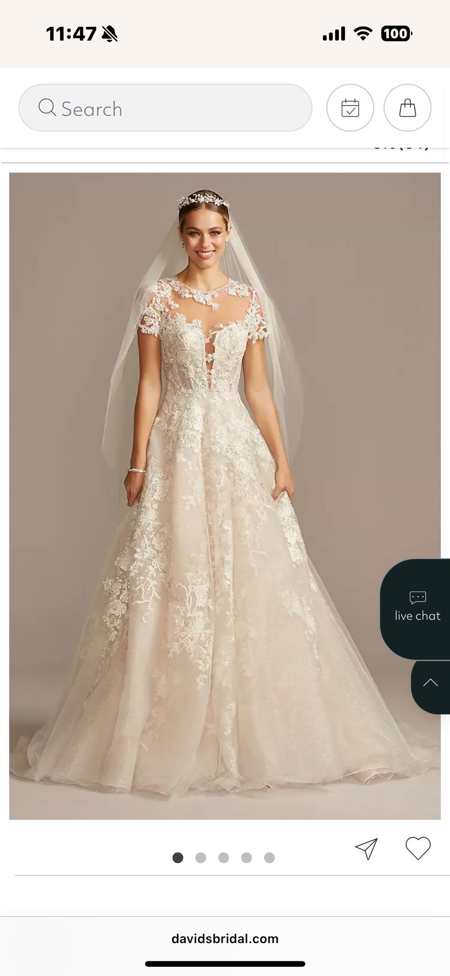David’s Bridal Wedding Dress
