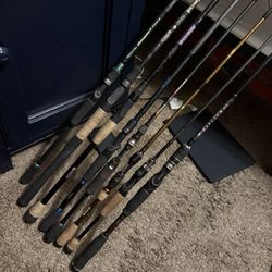 High End Fishing Rods