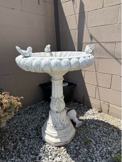 Bird bath