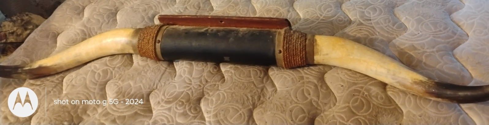 Long Horn Wall Mount