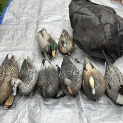 Duck Decoys 
