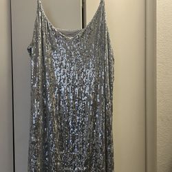 Women’s Sparkly Silver Dress