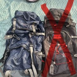 Packs for hiking/ travel