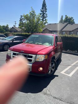 2010 Ford Escape