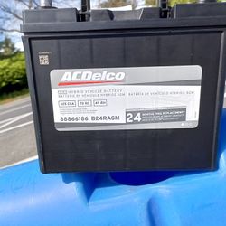 Acdelco B24Ragm Battery 