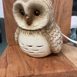 Vintage Owl Light 