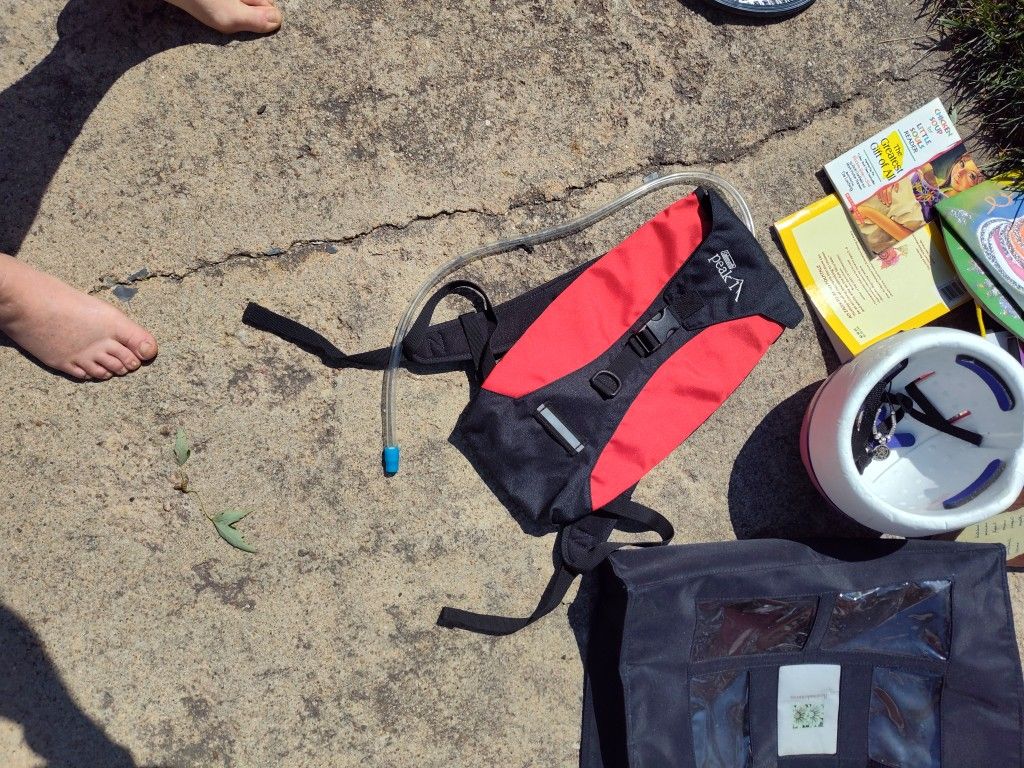 Coleman Drink Backpack For Hiking. New! Council Bluffs
