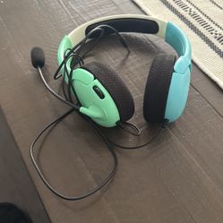 Nintendo Switch Headphones