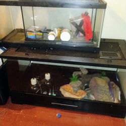 3 Reptile Cages 40 20 10 Gallon 