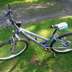 Realm Province cycle 1.0 women's mountain bike. This unit is in good condition and works great.