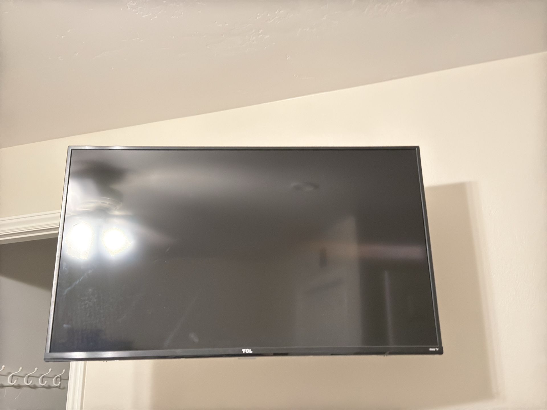 42 Inch TCL Roku