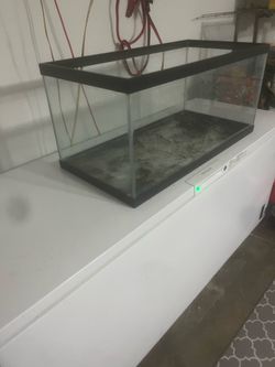 40 Gallon fish tank