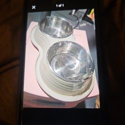 Double Pet Bowl
