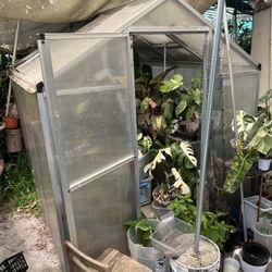 Greenhouse For Plants 