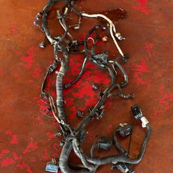 Wiring Harness 