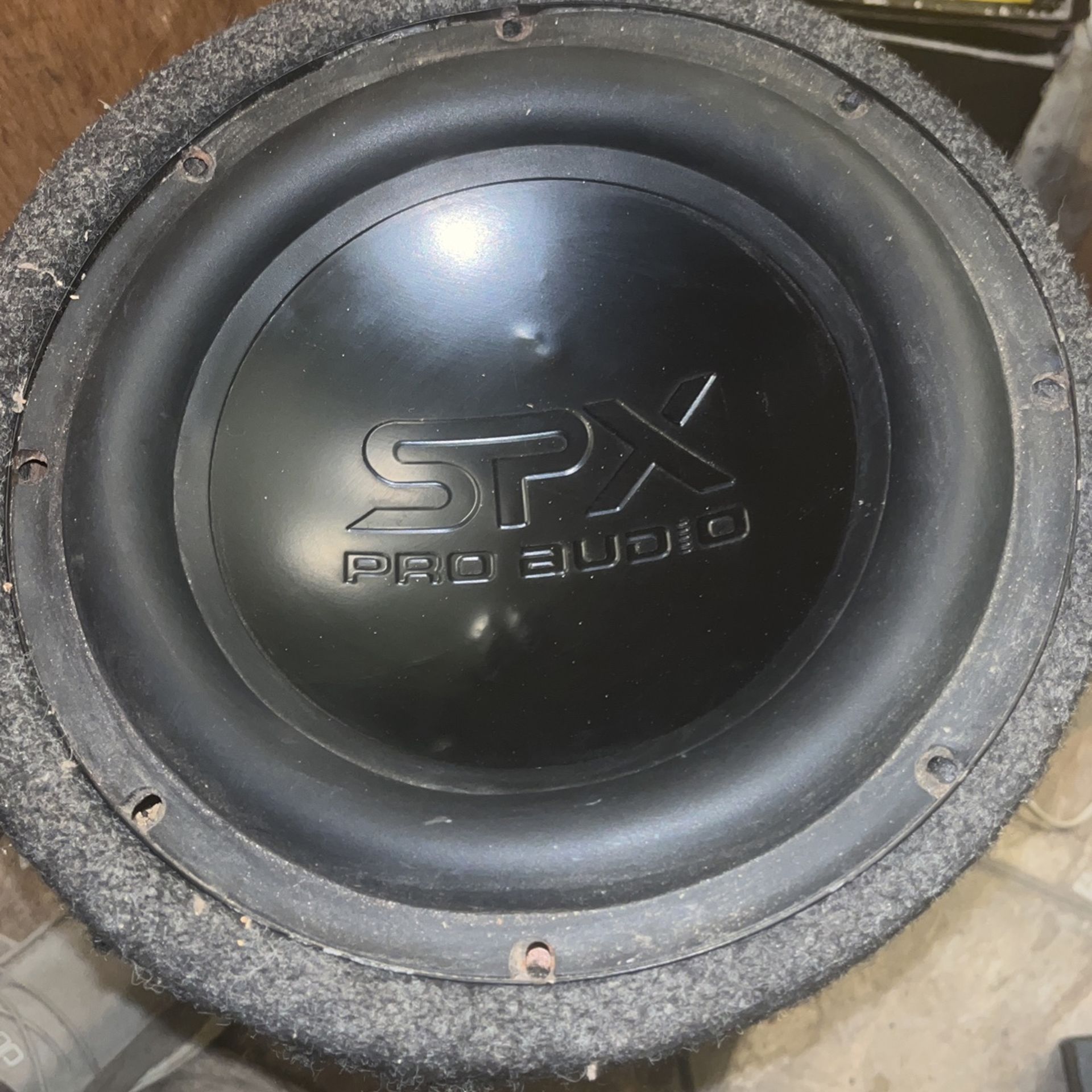 10 Inch SPX PRo Audio Subwoofer