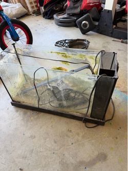Fluval 5 gallon saltwater fish tank