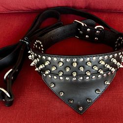 Leather Spike Studded Dog Collar and Leash 