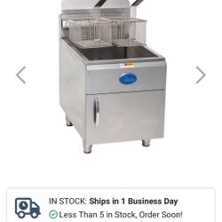COMMERCIAL DEEP FRYER