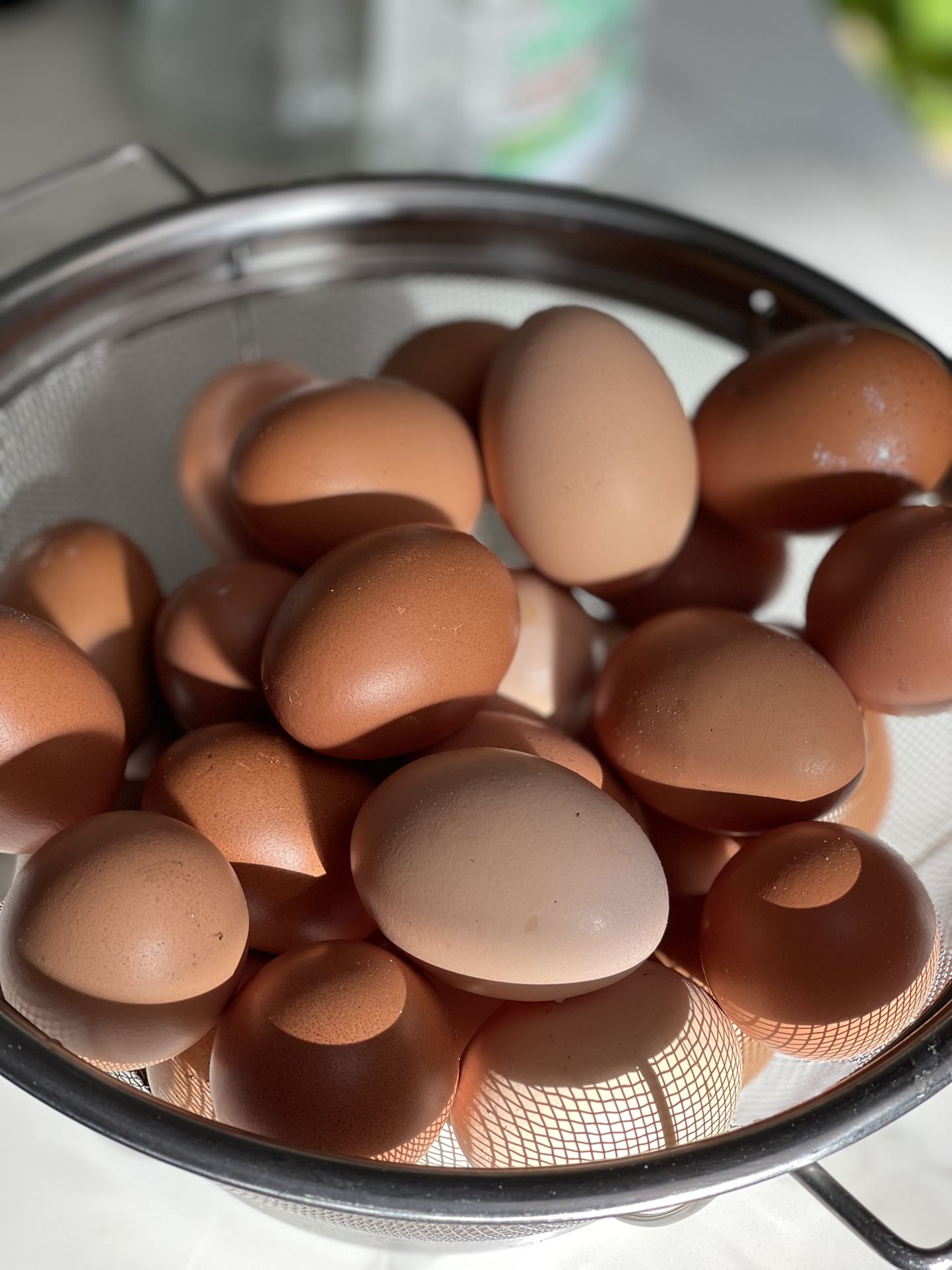 Organic Free Range Fresh Chicken Eggs
