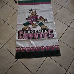 Phoenix Coyotes Team Banner