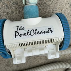 The Pool Cleaner 