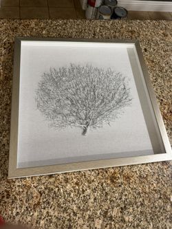 Neutral Coastal Coral Shadowbox Wall Art