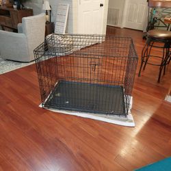 Huge Dog Kennel