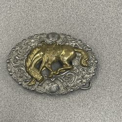 Hermosa Ebilla Elegante