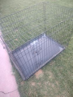 Big dog cage