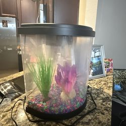 Half Moon 3.5 Gallon Fish Tank
