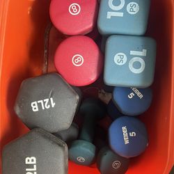 Lot Of Dumbbells 